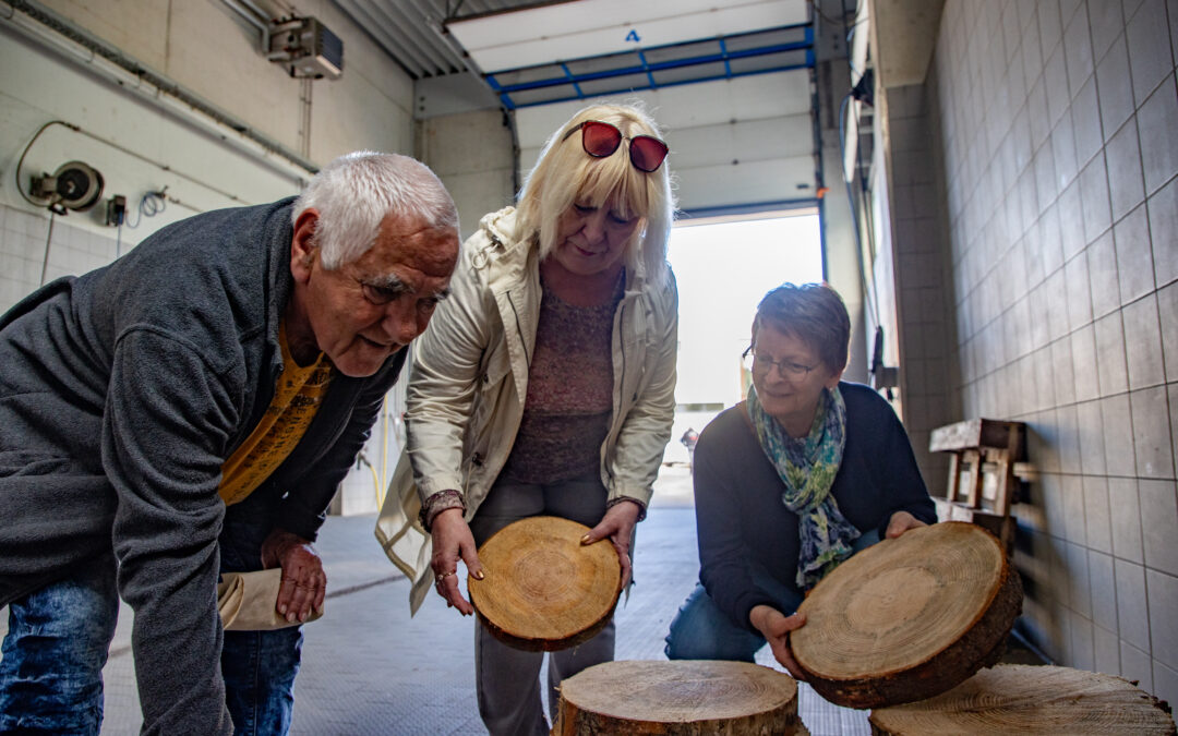 Rückgabe der Holzscheiben am 3. und 4. Juni