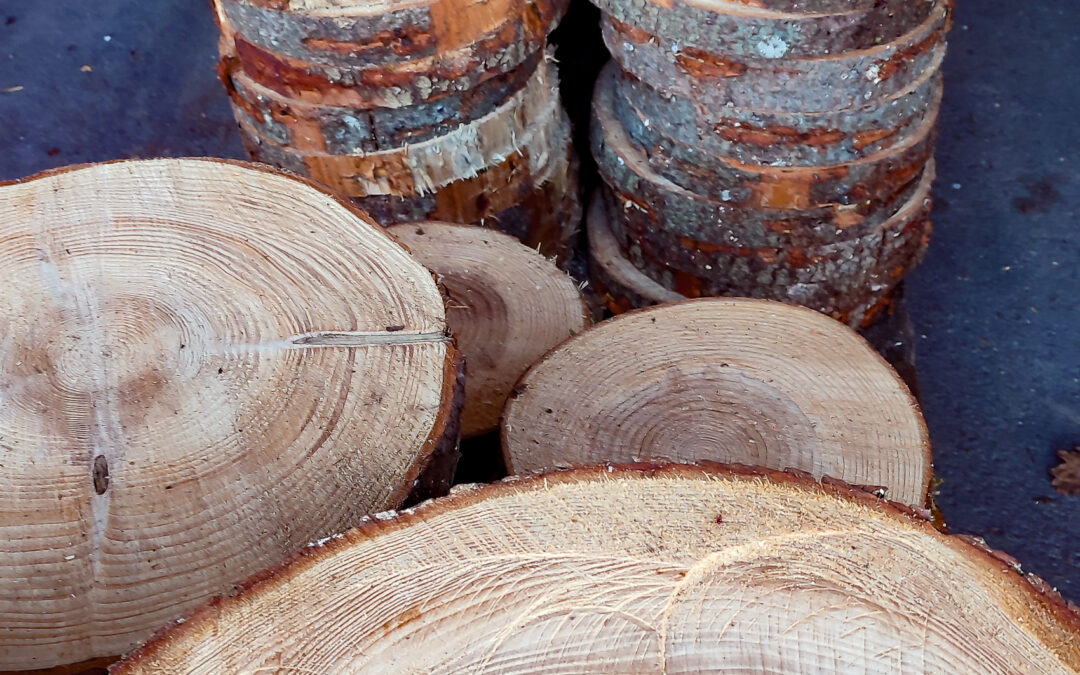 Holzscheiben sind die Mitmach-Aktion zum Schäferlauf 2024
