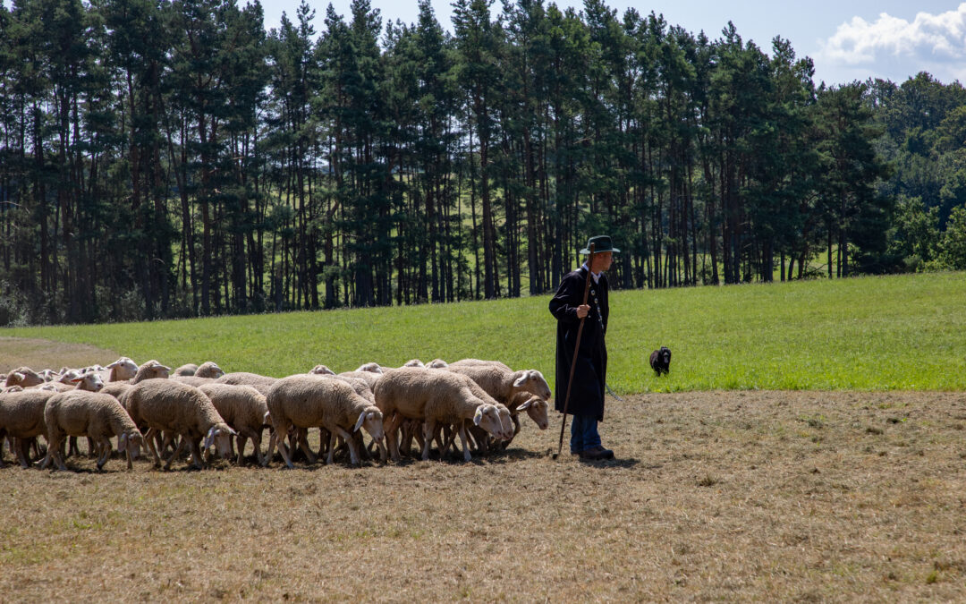 Impressionen vom Schäferlauf 2024