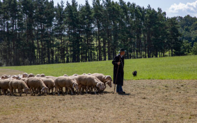 Impressionen vom Schäferlauf 2024